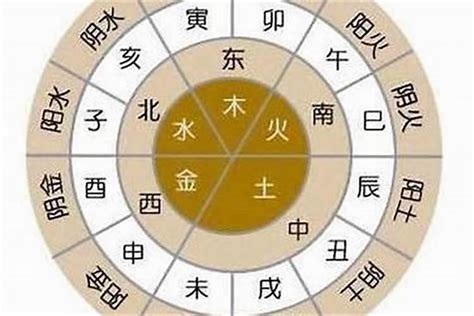 属火|八字属火 利弊 (属相金木水火土五行查询表)